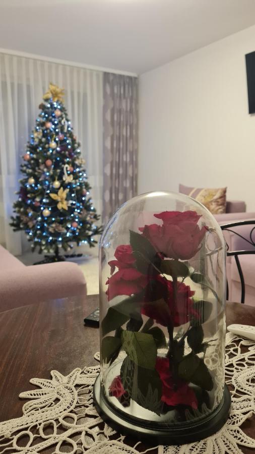 Apartament Violeta Гура-Гуморулуй Экстерьер фото