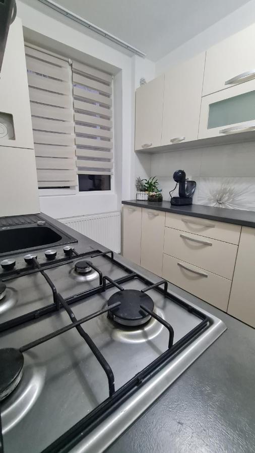 Apartament Violeta Гура-Гуморулуй Экстерьер фото